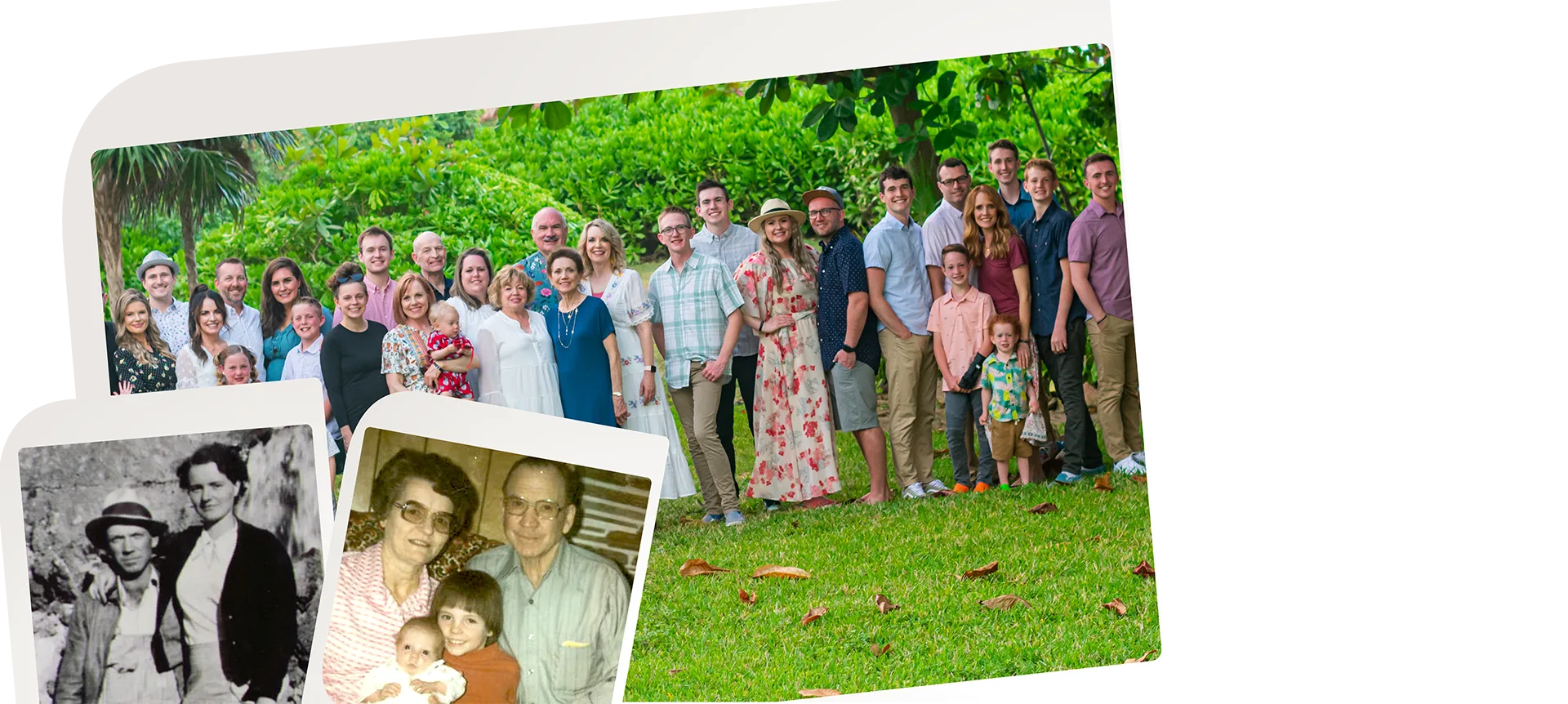 LifeWeaver family memories