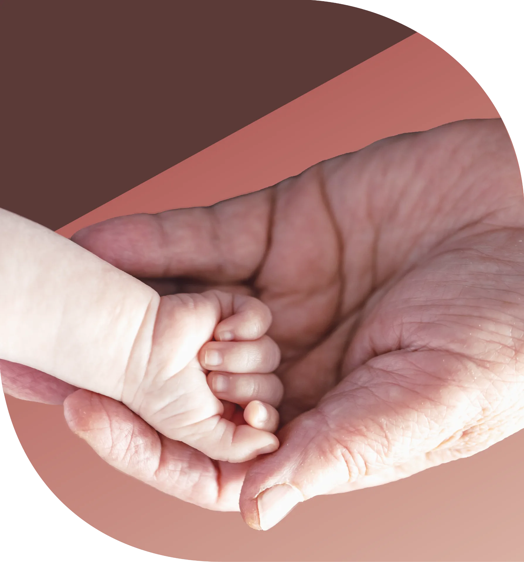Generations holding hands